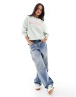 Northumberland crew neck sweatshirt in pale aqua